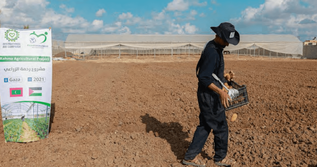 Agricultural Land Project – Gaza